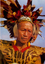 Dayak chief