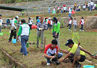 Suasana penanaman 250 bibit pohon di Kompleks Olahraga Kukar, Tenggarong Seberang, Sabtu (29/01) lalu