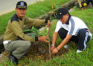 Petugas Satpol PP Kukar saat melakukan penanaman bibit pohon di sekitar lapangan parkir Stadion Rondong Demang 