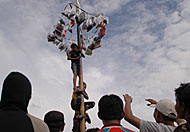 Lomba panjat pinang secara massal yang menarik perhatian warga Tenggarong dan sekitarnya