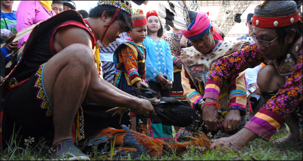 Anak yang menjalani upacara adat pelekatan nama ikut memegang hewan yang dikorbankan
