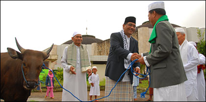 Sekkab HM Aswin menyerahkan seekor sapi secara simbolis kepada Panitia Qurban Masjid Agung Sultan Sulaiman