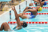 Kejurda Renang se-Kaltim tahun 2012 didominasi perenang asal Tarakan yang mampu mendulang 64 medali emas