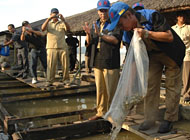 Pj Bupati Kukar Sjachruddin menebar bibit ikan nila ke dalam keramba milik kelompok Gawi Baimbai di Desa Jembayan