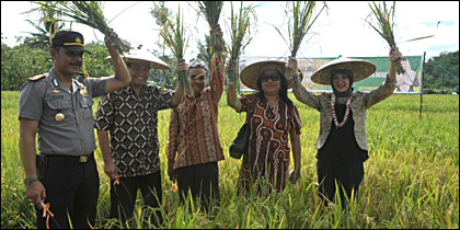 Bupati Rita Widyasari (kanan) bersama pejabat lainnya saat melakukan panen padi di sawah milik kelompok tani Segar Buah, dusun Loa Gagak, Kecamatan Loa Kulu