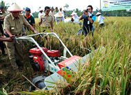 Gubernur Awang Faroek mencoba mesin pemotong padi saat panen raya di Desa Manunggal Jaya, Kecamatan Tenggarong Seberang