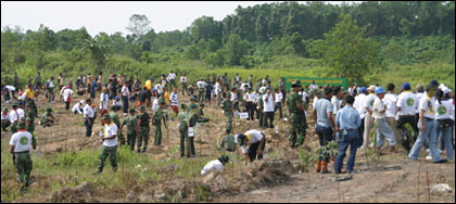 Aksi penanaman pohon secara serentak di lahan eks tambang PT Kitadin, Tenggarong Seberang, tadi siang