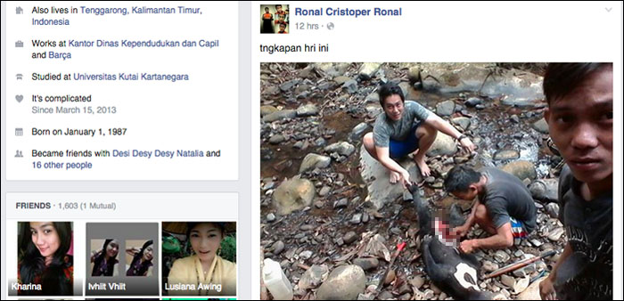Lewat akun facebook Ronal Cristopel Ronal, foto pembantaian beruang madu ini menyebar luas di media sosial dan mendapat kecaman netizen 