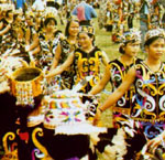 IPB Image