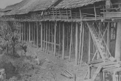 Penggunaan kolong yang tinggi pada Lamin suku Dayak