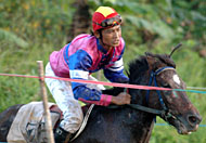 Salah seorang peserta memacu kudanya pada babak penyisihan lomba pacuan kuda kelas Sandel C
