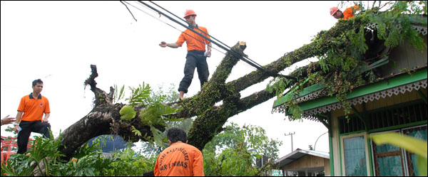 Petugas dari Satgas SAR BPBD Kukar berupaya memotong pohon tumbang yang menimpa kabel telepon dan sebuah bangunan di Jalan Imam Bonjol, Tenggarong, Kamis (28/02) siang