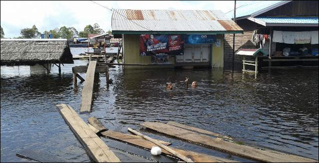 Banjir akibat luapan sungai Mahakam masih merendam sebagian wilayah Kukar, salah satunya di Muara Kaman 