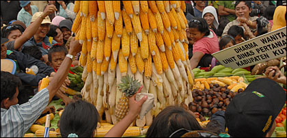Para penonton berebut mengambil buah-buahan dan sayur-sayuran dari gerobak yang dibawa Dinas Pertanian Tanaman Pangan Kukar dalam Pawai Pembangunan tadi siang