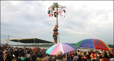 Lomba Panjat Pinang Massal menarik perhatian ribuan warga Tenggarong