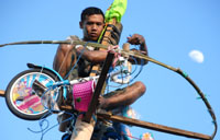 Salah seorang anggota kelompok panjat pinang berupaya melepas hadiah yang ada di puncak batang pinang