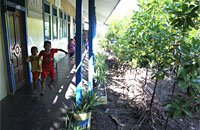 Suasana SDN 014 Desa Tani Baru di Anggana kini semakin sejuk dan asri setelah ditanami pohon bakau