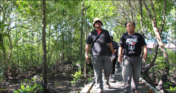 Kepsek SDN 014 Desa Tani Baru H Darta (kanan) mengajak rombongan jurnalis dan Kepala Departemen Media Relation TEPI Kristanto Hartadi meninjau rerimbunan pohon mangrove yang ditanam murid sekolahnya