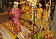 Sultan H Adji Mohd Salehoeddin II saat melakukan Bepelas pada malam pertama Erau 2010