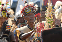 Salah seorang tokoh adat Dayak Kenyah menancapkan potongan kepala ayam sebagai persembahan dalam ritual adat Melas Tanah
