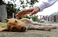 Film pendek Tafsir garapan KOPI Tenggarong bersaing dengan sejumlah film pendek lainnya dari berbagai daerah di Indonesia 