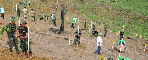 Suasana aksi penanaman pohon di kawasan Perkampungan Pemuda Mandiri KNPI Kukar di Desa Loh Sumber, Loa Kulu, Rabu (12/12) kemarin