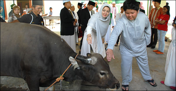 Bupati Rita Widyasari didampingi putranya menghampiri seekor sapi yang akan dipotong panitia kurban Masjid Agung Sultan Sulaiman pada Rabu besok