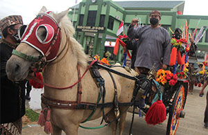 Bupati Edi Damansyah didampingi Dandim 0906/Tgr Letkol Inf Charles Alling berpose di atas kereta kuda sebelum melepas kegiatan sosialisasi