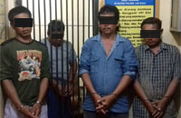 Ke empat pelaku pencurian sapi telah diamankan Polsek Loa Kulu