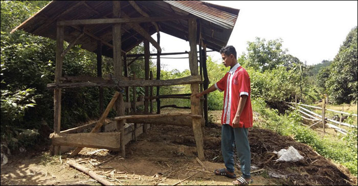 Disinilah dua ekor sapi milik Siti Hafilah biasa dikandangkan sebelum akhirnya dicuri dan disembelih para pelaku  