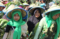 Para pelajar di desa Sumber Sari mengenakan kostum yang unik dengan hiasan yang terbuat dari daun-daunan atau sayur-sayuran  