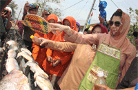 Bupati Kukar Rita Widyasari ikut serta dalam aksi bakar-bakar ikan sepanjang 9 km di Muara Badak