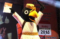 Burung Enggang dengan mengenakan busana adat Kutai ini menjadi maskot Pilkada Kukar 2015