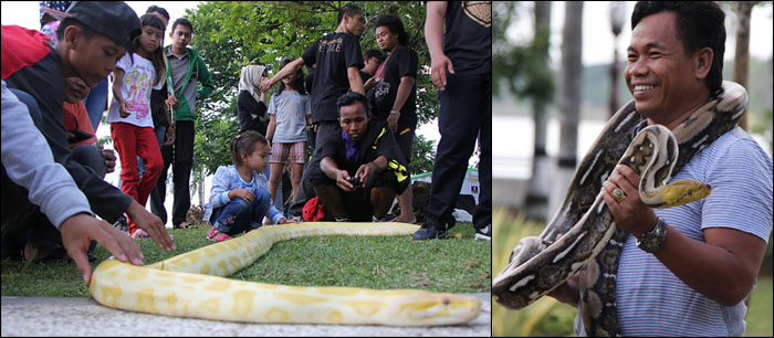Foto Kiri: Beberapa orang anak dengan berani memegang ular sanca yang jinak (kiri) | Foto Kanan: Seorang pria tampak sumringah saat memanggul seekor ular pyton