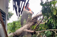 Petugas BPBD Kukar memotong batang pohon tumbang yang menimpa rumah warga di Jalan Rondong Demang, Tenggarong, Sabtu (26/03) kemarin 