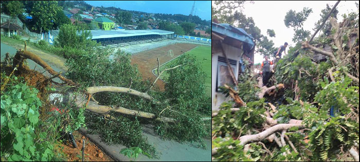 Pohon tumbang di kawasan sekitar Stadion Rondong Demang akibat diterpa angin kencang pada Sabtu kemarin