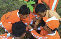 Aksi penghijauan di TK Arafah mendapat sambutan antusias dari para murid