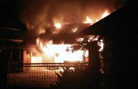 Si jago merah mengamuk di lingkungan Panti Sosial Asuhan Anak Kukar 