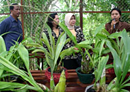 Asisten IV Pemkab Kukar HM Ghufron Yusuf bersama Ketua DWP Kukar Hj Anna Husni Thamrin (tengah) saat meninjau Arboretum