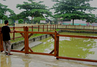 Kolam di halaman Masjid Darul Mutmainnah, Kelurahan Mangkurawang, yang kini dimanfaatkan untuk budidaya ikan nila