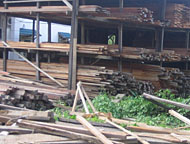 Usaha penjualan kayu masak yang banyak bertebaran di Kukar harus dilengkapi surat-surat  sesuai ketentuan UU No 41/1999