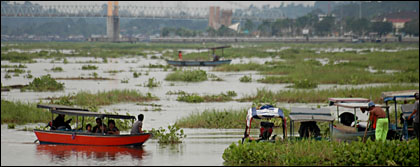 Perahu motor mesti berhati-hati saat menyusuri sungai Mahakam yang kini dipenuhi kumpulan gulma