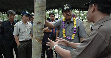 Bupati H Syaukani HR menyimak penjelasan Kepala Cabang Dinas Perkebunan Muara Jawa seputar pengembangan tanaman karet