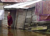 Masih banyak keluarga miskin di Kukar yang perlu uluran tangan dari Pemkab Kukar untuk memiliki rumah layak huni