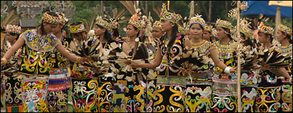 Puluhan gadis Desa Lekaq Kidau tampil membawakan tari Enggang