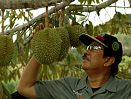 Bupati Kukar Dr H Syaukani HR MM